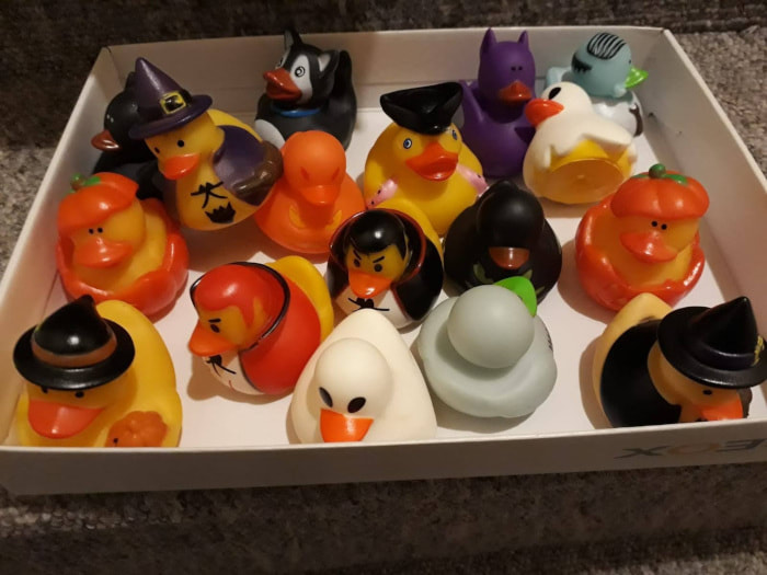 Halloween ducks